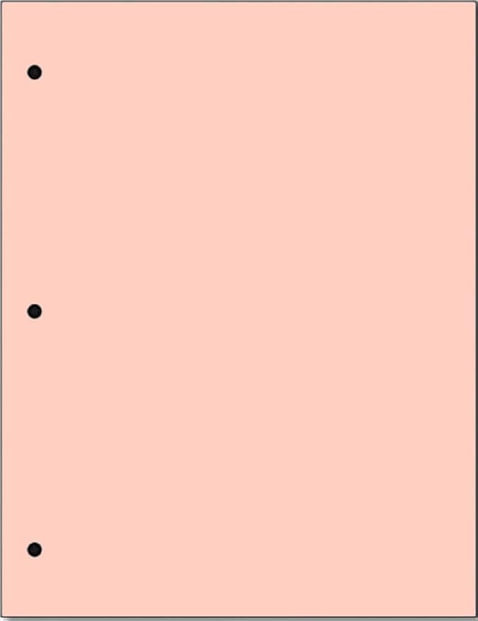 Copy And Printing Color Paper, 20 Lb. 3 Hole Punch 500 Sheets Per Ream. (Peach)