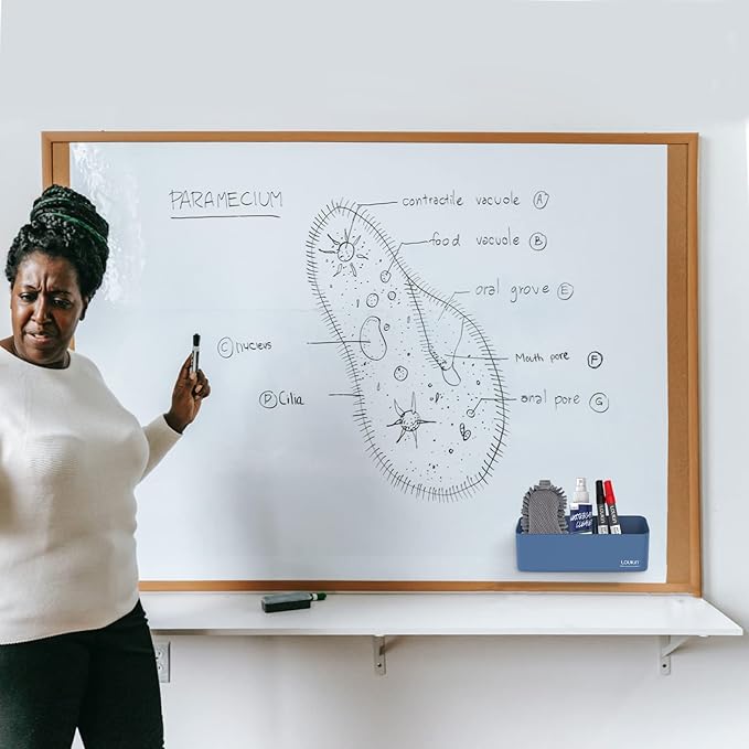 loukin Magnetic and Adhesive Marker Holder, Dry Erase Accessory Tray, Magnetic Storage Organizer for Whiteboard, Glass or Refrigerators (Blue)