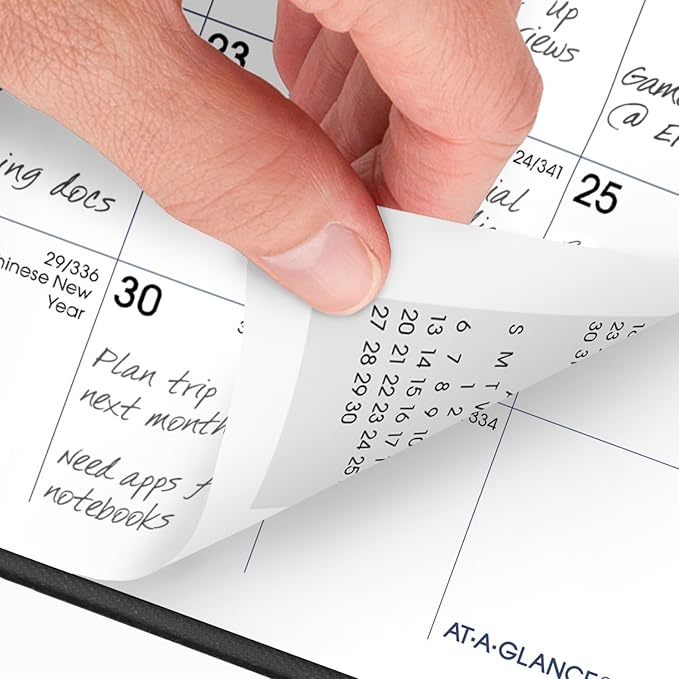 AT-A-GLANCE 2025 Planner, Monthly, 3-1/2" x 6", Pocket Size, DayMinder, Black (SK530025)