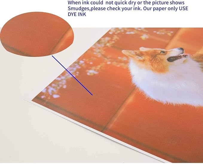 Koala Double Side Thin Glossy Photo Paper 8.5x11 Inches 120gsm 100 Sheets Compatible with Inkjet Printer and Dye Ink 32LB