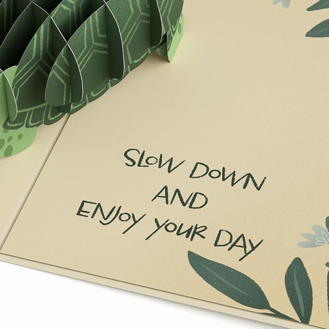 Lovepop Birthday Pop-Up Card for Her, Him, Men, Women - 3D Animal Greeting Cards - Time to Shell-ebrate - 5" x 7" - Blank Notecard & Envelope Included