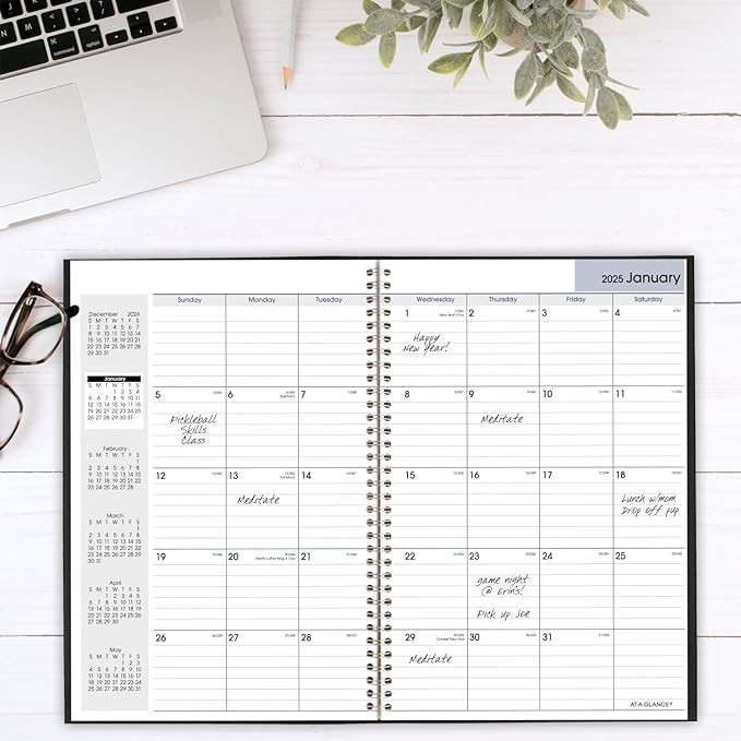 AT-A-GLANCE 2025 Planner, Monthly, 8" x 12", Large, DayMinder, Black (SK20025)