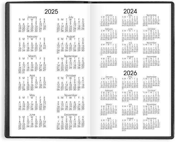 AT-A-GLANCE 2025 Planner, Monthly, 3-1/2" x 6", Pocket Size, DayMinder, Black (SK530025)