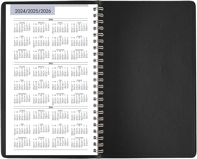 AT-A-GLANCE 2025 Appointment Book Planner, Weekly, 5" x 8", Small, DayMinder, Black (G2000025)