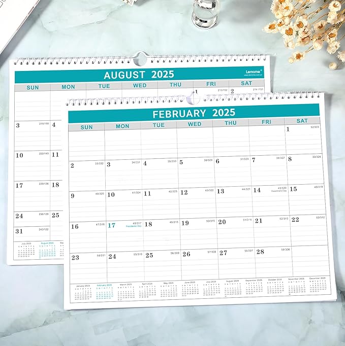 Calendar 2025, 12 Months Wall Calendar 2025 from January 2025 to December 2025,11.5" x 14.6", 2025 Calendar with Julian Date