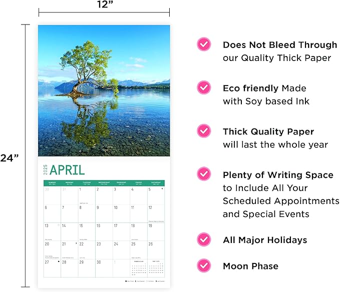 2025 Paradise Monthly Wall Calendar by Bright Day, Includes Over 300 Stickers, 12 x 12 Inch