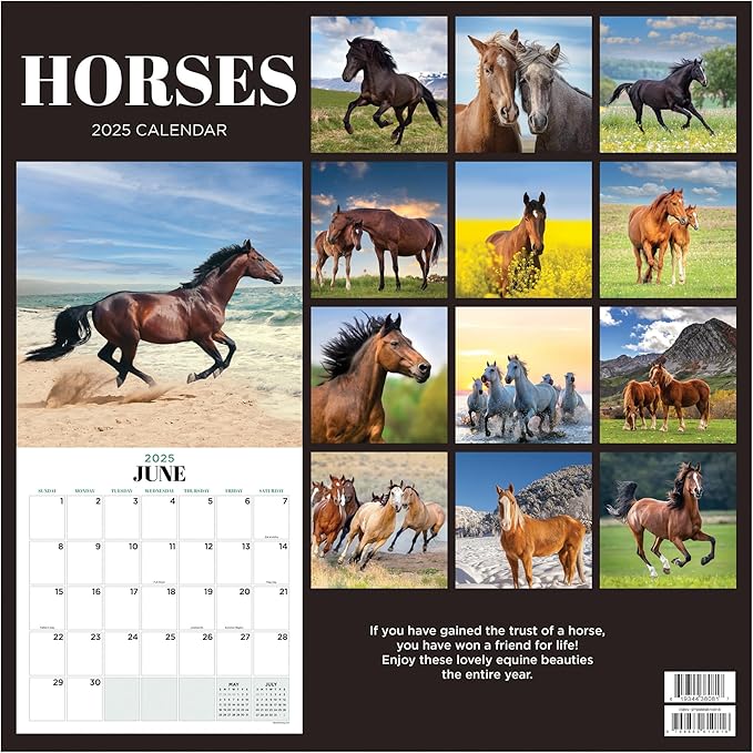 TF PUBLISHING 2025 Horses Wall Calendar - Large Grids for Appointments and Scheduling - Vertical Monthly Wall Calendar 2025 - Home and Office Organization - Premium Gloss Paper - 12"x12”