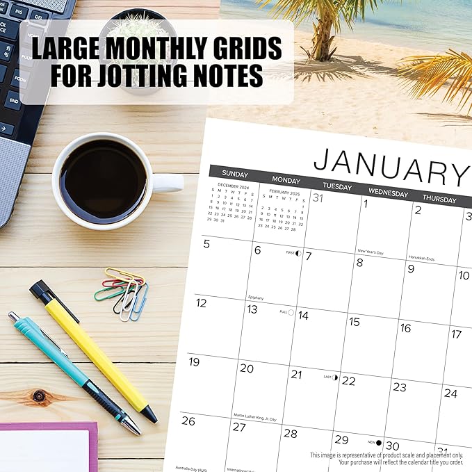 Willow Creek Press Litterary Kitties Monthly 2025 Wall Calendar (12" x 12")