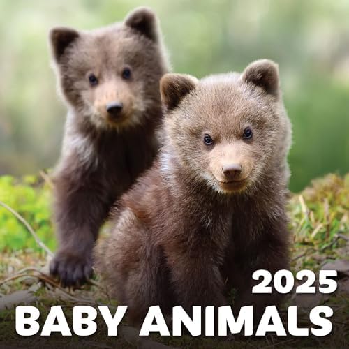 EcoEarth Biodegradable 11x17 Inch (Open) 12-Month Vertical Hanging Wall Calendar, Jan 2025 - Dec 2025 Monthly Calendar, Baby Animals