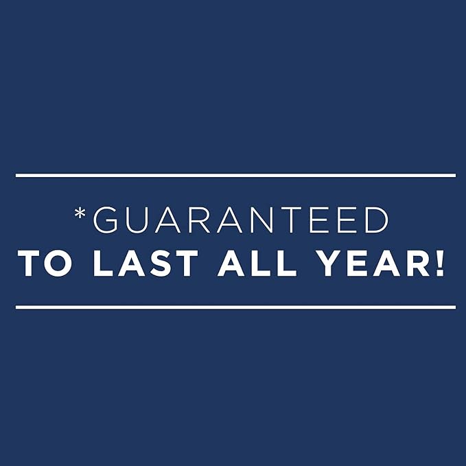 AT-A-GLANCE 2024 Weekly Appointment Book & Planner, DayMinder, 5" x 8", Small, Spiral Bound, Black (G2000024)
