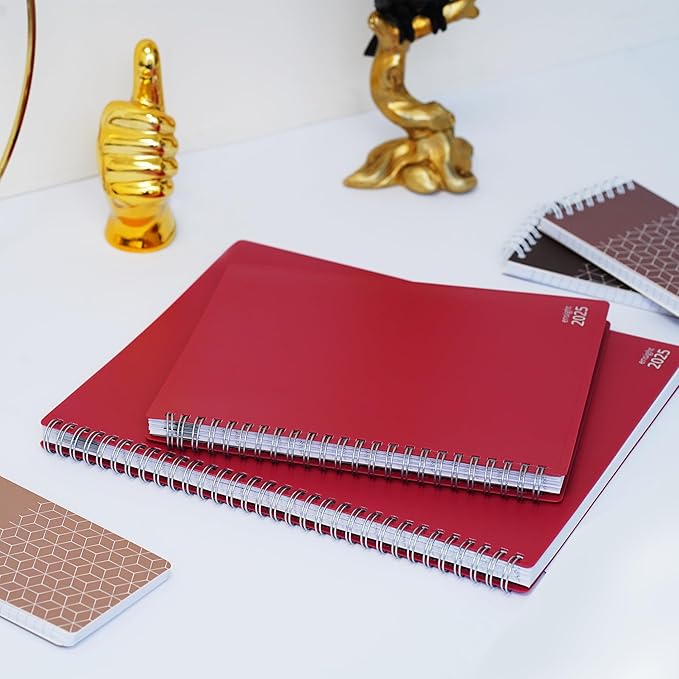 2025 Appointment Book & Planner- Ensight 8.5 x 11 inches, Large Tabbed Daily Hourly Weekly Planner, Calendar & Schedule Book 15-Minute time Slots, Business & Personal Planner Jan 2025- Dec 2025- Maroon