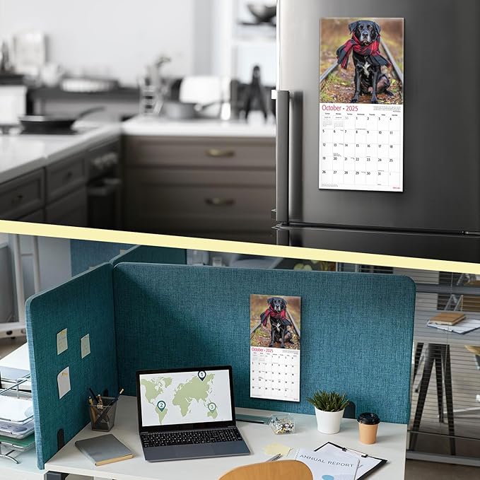 MICASA Black Labs Mini 2025 Wall Calendar 12 Month | 7" x 14" Open | Thick & Sturdy Paper | Giftable | Calendar 2025
