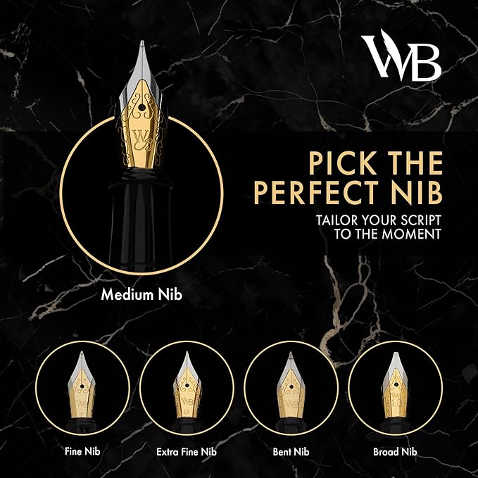 Wordsworth & Black Fountain Pen Set, Medium Nib, Includes 24 Ink Cartridges and Ink Refill Converter, Journaling, Calligraphy,[Turquoise Gold]