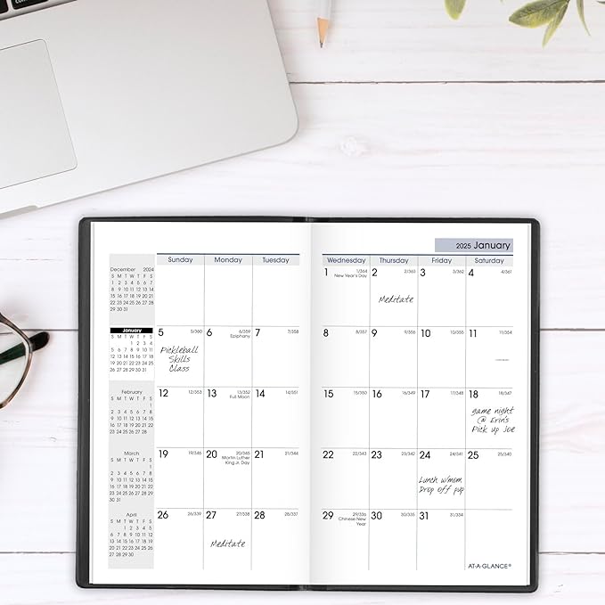 AT-A-GLANCE 2025 Planner, Monthly, 3-1/2" x 6", Pocket Size, DayMinder, Black (SK530025)
