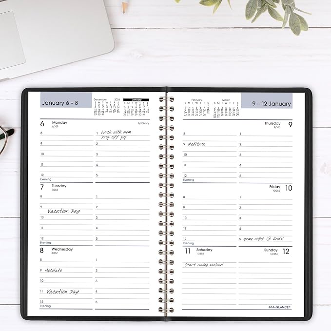 AT-A-GLANCE 2025 Appointment Book Planner, Weekly, 5" x 8", Small, DayMinder, Black (G2000025)