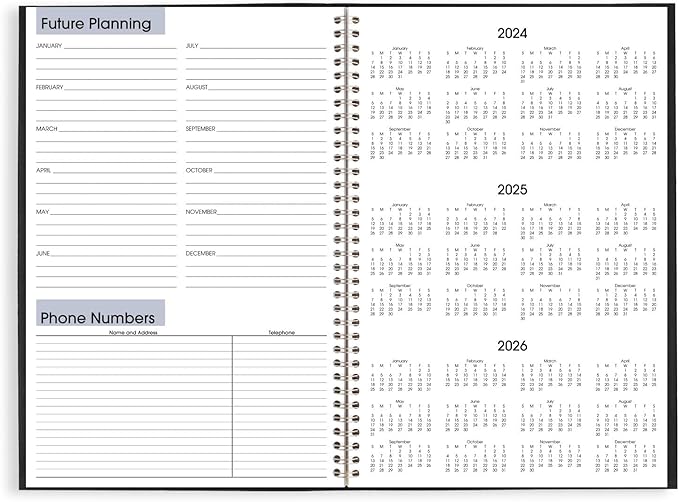 AT-A-GLANCE 2025 Planner, Monthly, 8" x 12", Large, DayMinder, Black (SK20025)