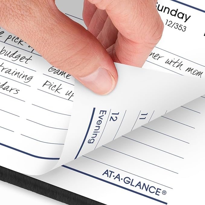 AT-A-GLANCE 2025 Appointment Book Planner, Weekly, 5" x 8", Small, DayMinder, Black (G2000025)
